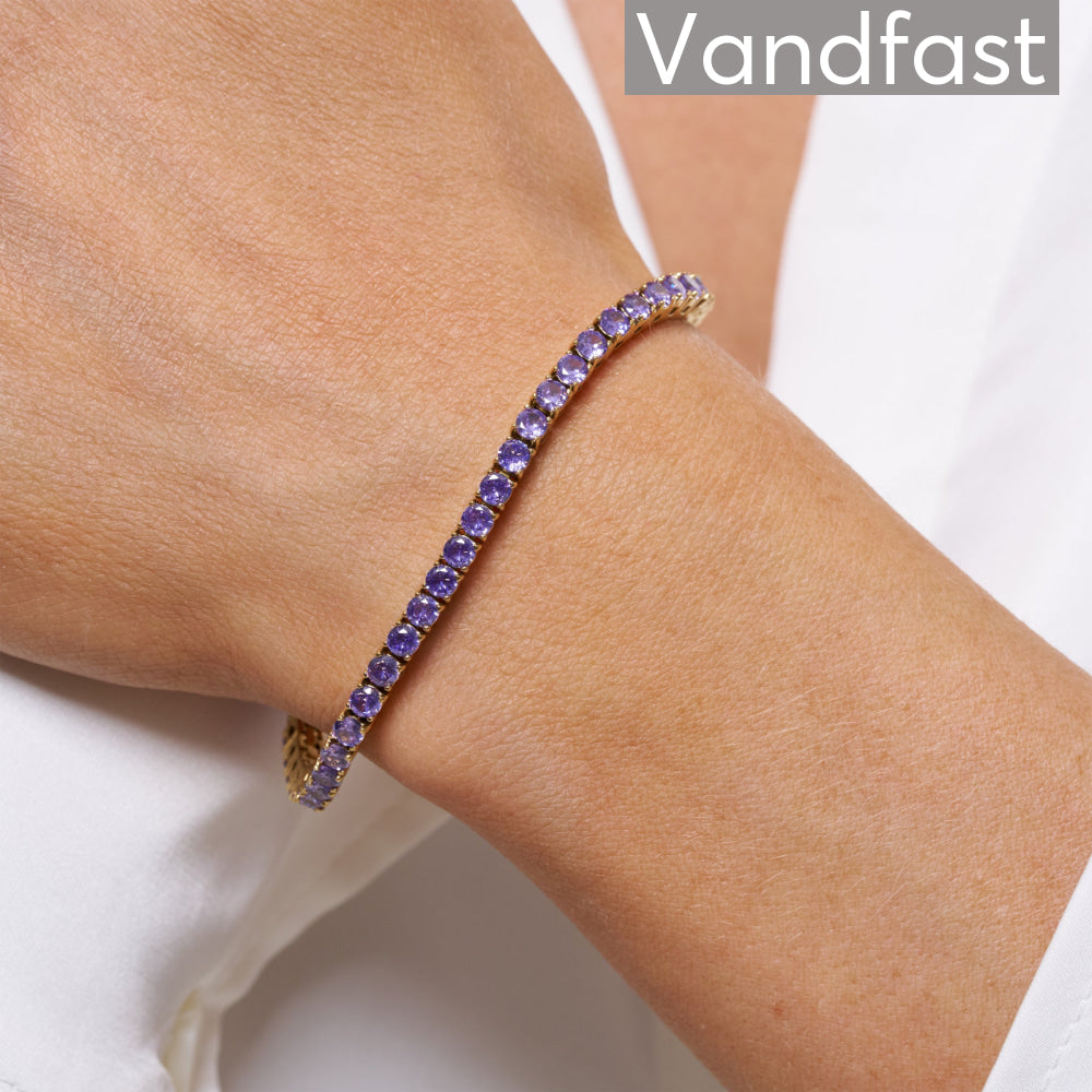 Annebrauner Tennis Petite Bracelet Violet - Annebrauner Armbånd  - 2003474357647